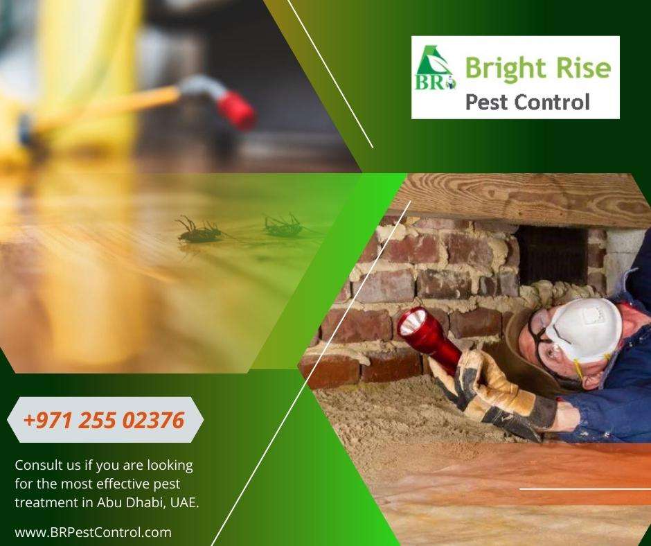 Bright Rise Pest Control