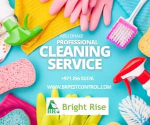 Bright Rise Deep Cleaning
