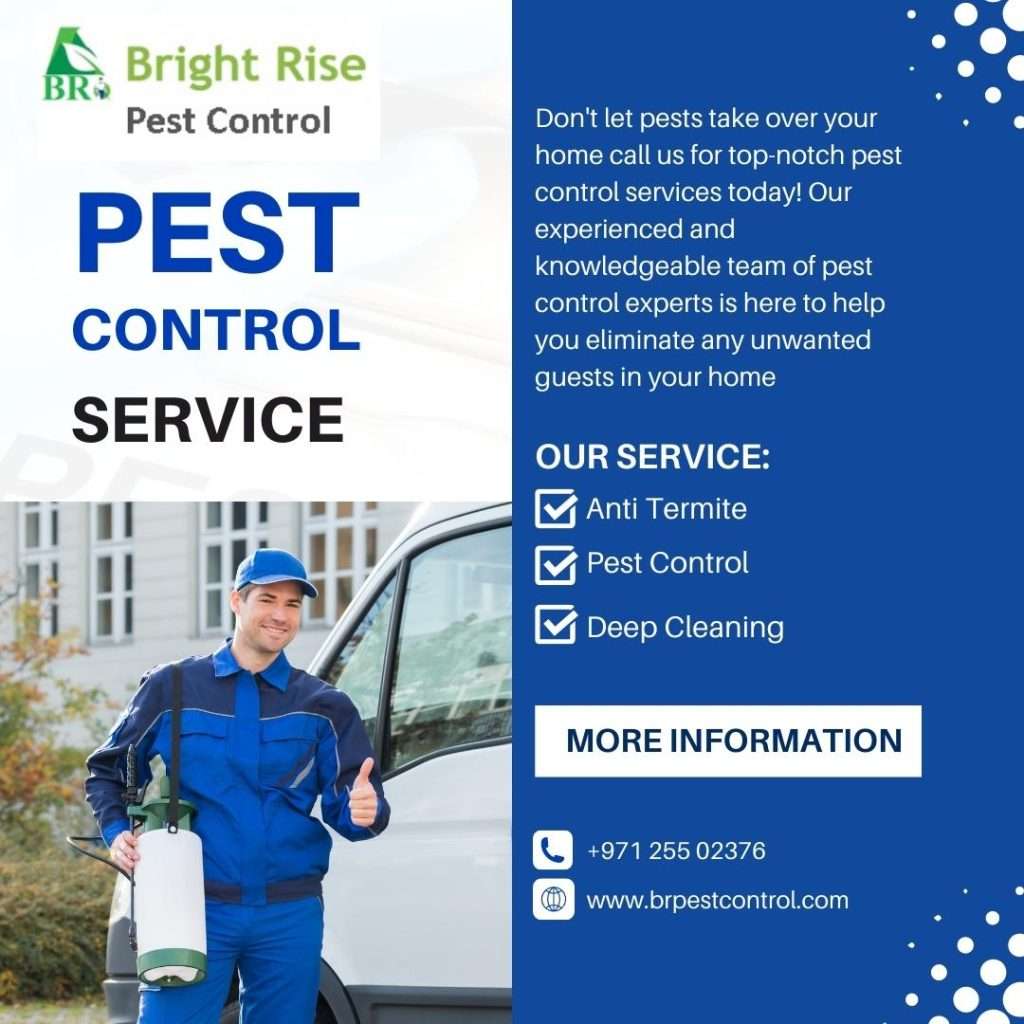 Pest Control Services Abu Dhabi